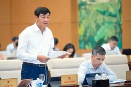 Phó Tổng Kiểm toán Nhà nước Doãn Anh Thơ trình bày các báo cáo tóm tắt. (Ảnh: Doãn Tấn/TTXVN)