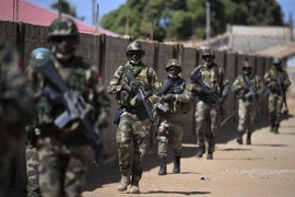 Binh sỹ ECOWAS. (Ảnh: AFP/TTXVN)