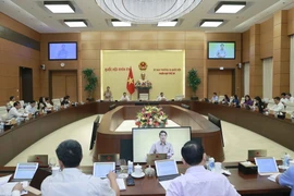 Quang cảnh phiên họp. (Ảnh: Doãn Tấn/TTXVN)