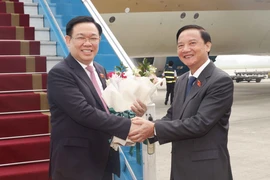 Phó Chủ tịch Quốc hội Nguyễn Khắc Định chào đón Chủ tịch Quốc hội Vương Đình Huệ tại Sân bay Quốc tế Nội Bài. (Ảnh: Doãn Tấn/TTXVN)