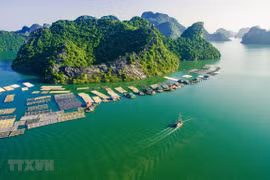 Một góc Cát Bà. (Nguồn: TTXVN)