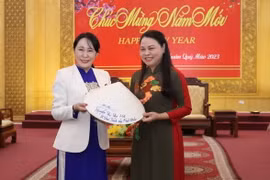 Bí thư Tỉnh ủy Ninh Bình Nguyễn Thị Thu Hà tặng bà Mori Masako chiếc nón lá truyền thống của Việt Nam. (Ảnh: Đức Phương/TTXVN)