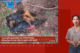 (Nguồn: Vietnam+)