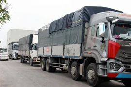 Các phương tiện đã lấy số thứ tự, xếp hàng vào kiểm định tại Trung tâm đăng kiểm ôtô 18-05D đóng trên Đại lộ Thiên Trường, phường Lộc Hòa, thành phố Nam Định, tỉnh Nam Định. (Ảnh: Nguyễn Lành/TTXVN)