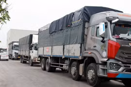 Các phương tiện đã lấy số thứ tự, xếp hàng vào kiểm định tại Trung tâm đăng kiểm ôtô 18-05D đóng trên Đại lộ Thiên Trường, phường Lộc Hòa, thành phố Nam Định, tỉnh Nam Định. (Ảnh: Nguyễn Lành/TTXVN)