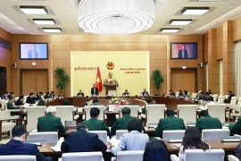 Toàn cảnh phiên họp. (Ảnh: Doãn Tấn/TTXVN)