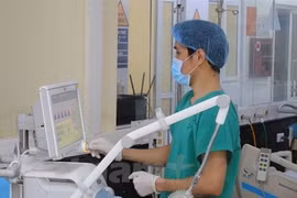 Ảnh minh họa. (Nguồn: Vietnam+)