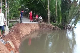 Hiện trường điểm sạt lở tại xã Phú Hữu, huyện Châu Thành. (Ảnh: TTXVN phát)