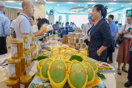 Đại diện các doanh nghiệp trao đổi tại buổi kết nối giao thương giữa doanh nghiệp Việt Nam và Trung Quốc. (Ảnh: Thanh Liêm/TTXVN)
