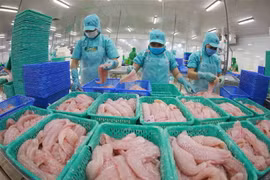 Chế biến thủy sản xuất khẩu. (Nguồn: TTXVN)