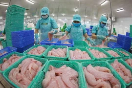 Chế biến thủy sản xuất khẩu. (Nguồn: TTXVN)