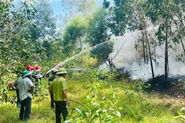 Diễn tập phòng chống cháy rừng xã Tịnh Thiện, thành phố Quảng Ngãi. (Ảnh: TTXVN phát)