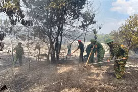 Lực lượng chức năng tham gia dập tắt đám cháy. (Ảnh: TTXVN phát)