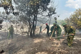 Lực lượng chức năng tham gia dập tắt đám cháy. (Ảnh: TTXVN phát)