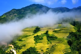 Ruộng bậc thang Sa Pa mùa nước đổ. (Ảnh: Quốc Khánh/TTXVN)