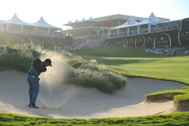 Giải Golf Hồ Tràm năm 2015. (Nguồn: The Bluffs Hồ Tràm Strip) 