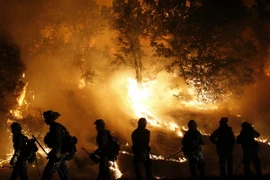 Lực lượng cứu hỏa nỗ lực khống chế các đám cháy rừng ở Valley Fire, California. (Nguồn: AFP/TTXVN)