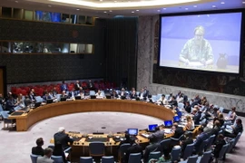 Toàn cảnh cuộc họp Hội đồng Bảo an Liên hợp quốc ngày 25/8. (Nguồn: AFP/TTXVN)