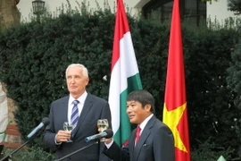 Đại sứ Nguyễn Thanh Tuấn và Quốc vụ khanh Istvan Mikola. (Nguồn: Vietnam+)