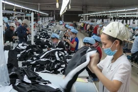 Ảnh chỉ có tính minh họa. (Ảnh: Quốc Việt/TTXVN)