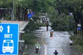 Nhiều tuyến phố ở Hà Nội 'xơ xác' sau khi siêu bão Yagi đổ bộ