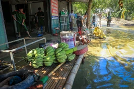 Lực lượng công an, quân đội hỗ trợ người dân vùng Nam Phương Tiến (Chương Mỹ, Hà Nội) khắc phục hậu quả sau lũ. (Ảnh: Hoài Nam/Vietnam+)