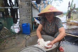 Cuộc sống khốn khó của người dân Chương Mỹ trong đợt lụt thứ hai liên tiếp