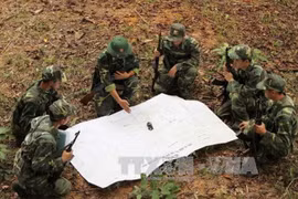 (Ảnh: Dương Giang/TTXVN)