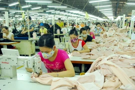 (Ảnh minh họa: Danh Lam/TTXVN)