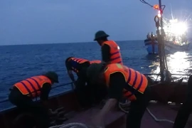 Ảnh minh họa. (Ảnh: Đức Thọ/TTXVN)