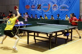 (Ảnh minh họa: Mạnh Tú/TTXVN)