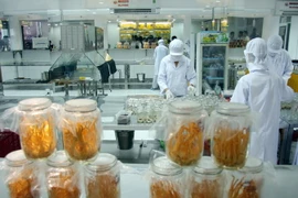 Quy trình sơ chế đông trùng hạ thảo. (Ảnh: Mạnh Linh/TTXVN)