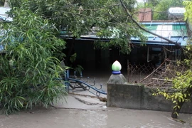 Mưa lớn khiến nhiều ngôi nhà chìm trong nước. (Ảnh minh họa: Minh Quyết/TTXVN)