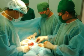 Ảnh minh họa. (Ảnh: Công Mạo/TTXVN)