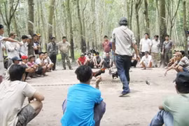 Đắk Nông: Khởi tố vụ án và bắt tạm giam 9 đối tượng đánh bạc