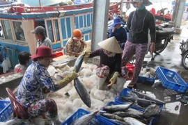 Phân loại cá trước khi mang đi tiêu thụ. (Ảnh: Nguyên Lý/TTXVN )