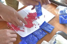 (Ảnh minh họa: Trịnh Duy Hưng/TTXVN)