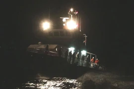 (Ảnh minh họa: Nguyên Lý/TTXVN)