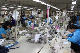 (Ảnh: Hoàng Nguyên/TTXVN)