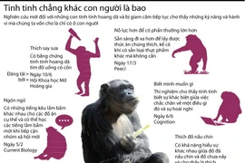 [Infographics] Hành vi của tinh tinh chẳng khác gì con người