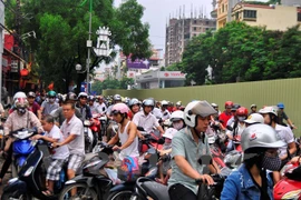 (Ảnh: Võ Phương/Vietnam+)