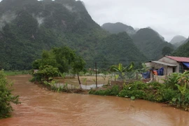 (Ảnh minh họa: Điêu Chính Tới/TTXVN)