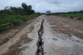 Vết nứt trên đê sông Chu dài 94m, rộng 5-15cm, sâu 25-65cm. (Ảnh: Trịnh Duy Hưng/Vietnam+)