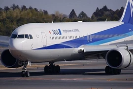 Một chiếc Boeing 767 của hãng ANA. (Nguồn: arabnews.com)