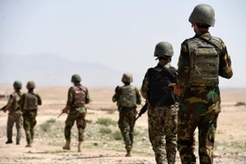 Binh sỹ Afghanistan trong chiến dịch truy quét phiến quân Taliban tại tỉnh Zabul. (Nguồn: THX/TTXVN)
