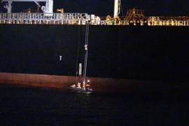 Ảnh chỉ có tính minh họa. (Ảnh: Hoàng Ngọc/TTXVN)