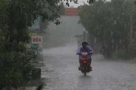 Mưa lớn ngày 30/4 trên địa bàn huyện Long Mỹ, Hậu Giang. (Ảnh:Duy Khương/TTXVN)