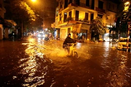 Ảnh chỉ có tính minh họa. (Ảnh: Phạm Kiên/TTXVN)