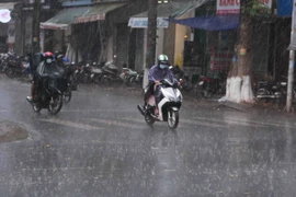 Mưa trên địa bàn thành phố Buôn Ma Thuột. (Ảnh: Phạm Cường/TTXVN)