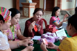 Tư vấn sức khỏe sinh sản cho người dân xã Bồng Khê, huyện Con Cuông, tỉnh Nghệ An. (Ảnh: Bích Huệ/TTXVN)
